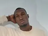 FernandoMaquina video videos toy